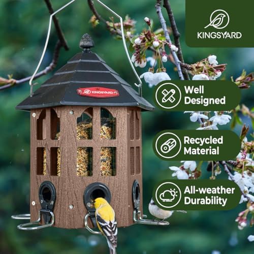 Kingsyard Hopper Bird Feeders for Outdoors Hanging, Squirrel-Proof