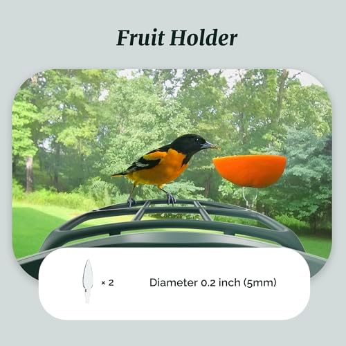 Kiwibit Complete Accessory Kit DIY Add-Ons Including Mini Hummingbird Feeder, 2 Fruit Holders, Jelly Feeder (Smart Bird Feeder NOT Included), Compatible with Kiwibit Bird Feeder