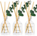COCORRÍNA Reed Diffuser Set of 3 with Dried Eucalyptus for Home & Office