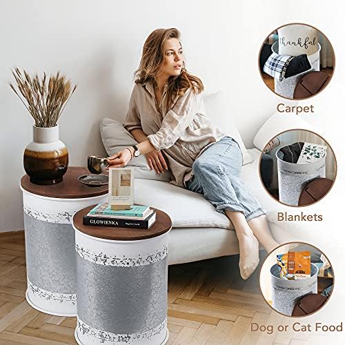 RUSTOWN Farmhouse Accent Side Table, Set of 2 Galvanized Storage Ottoman