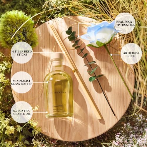 COCORRÍNA Reed Diffuser Ocean Mist Scent 6.76 fl oz Home Bathroom Fragrance