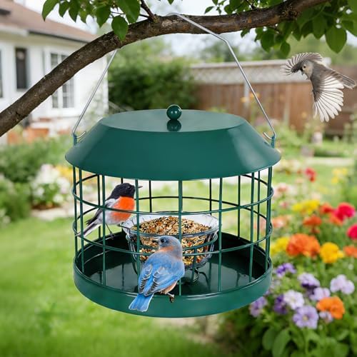 Gbekery Bluebird Feeder for Mealworms with Glass Bowl for Outdoors, Green