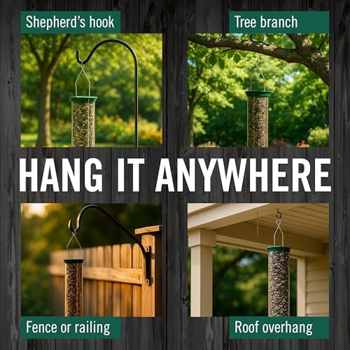 Droll Yankees Squirrel Proof Bird Feeder for Outdoors, 5 lb Seed Capacity
