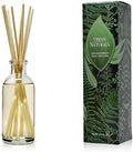 Urban Naturals Coconut Breeze Reed Diffuser Oil Set with Reed Sticks – Warm Coconut, Pineapple and Tahitian Vanilla - Made in The USA