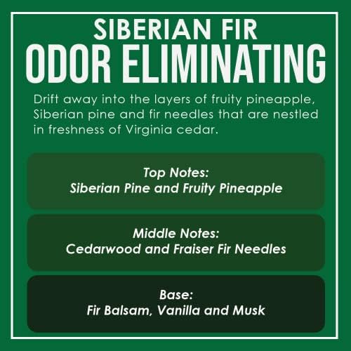 Siberian Fir Two Pack Odor Eliminating Highly Fragranced Candle - Eliminates 95% of Pet, Smoke, Food, and Other Smells Quickly - Up to 80 Hour Burn time - 12 Ounce Premium Soy Blend