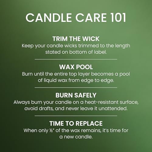 Yankee Candle Balsam & Cedar Scented Candle, 14.5oz 3-Wick