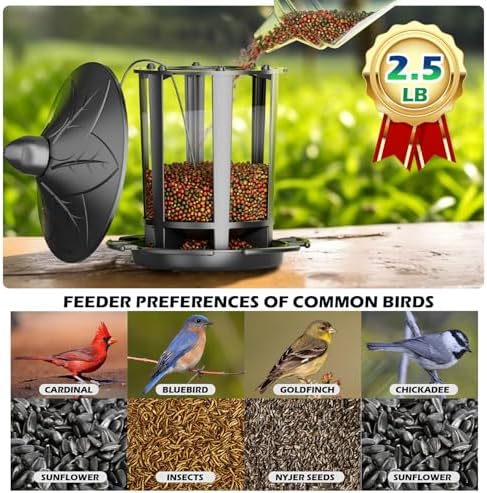 Birdream 2 Pack Bird Feeders for Outdoor Hanging, Assembly Required, 1-Min Easy Setup, Charming Castle Design, Attracting Cardinals Chickadees Goldfinches & Sparrows - Black