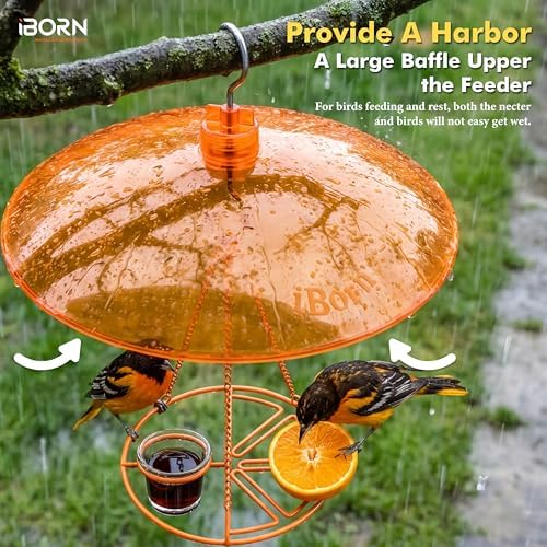 iBorn 13-inch Sunshade Cover for Oriole Feeder, Weather Guard Sun Shade Cover, for Hanging Oriole Nectar Feeder for Outdoors Rain Guard, Chew Proof Polycarbonate, Pack of 2, Orange