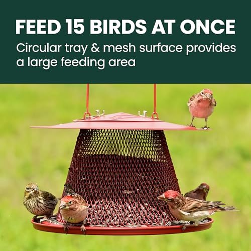 Perky-Pet Red Cardinal Wild Bird Feeder, 2.5 lb Seed Capacity