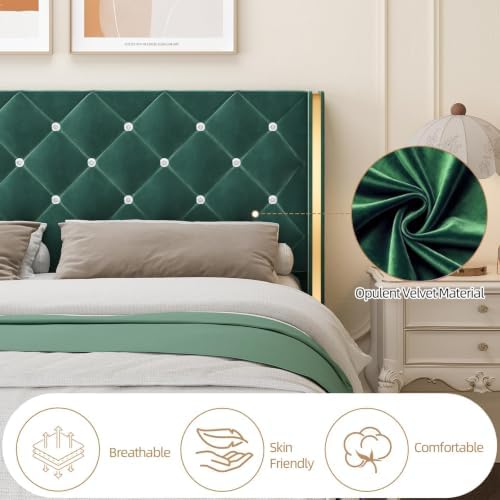 HOMBCK King Bed Frame with Velvet Headboard, Goldside Wingback, Green