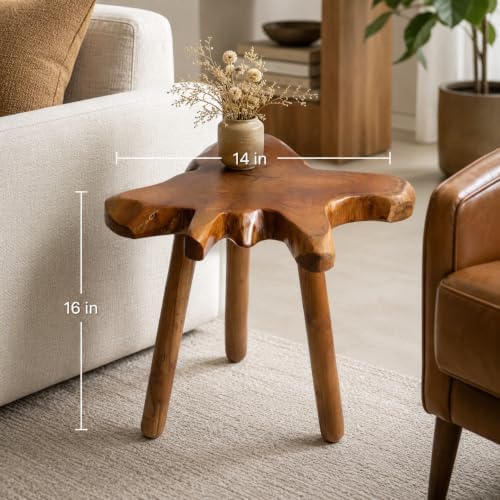Teak Side Table, Live Edge End Table, Solid Wood Side Table for Living Room, Bedroom, Patio, Plant Stand, Tree Stump Style Natural Wood Accent Table