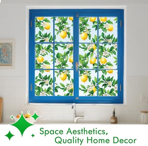 SOMWISE Frosted Window Privacy Film, Decorative Sun Heat Blocking, Anti UV