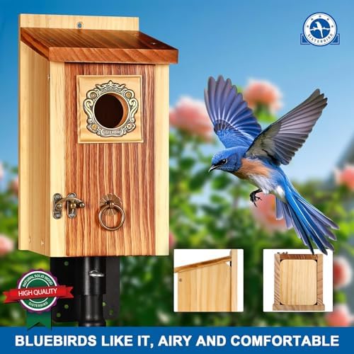 SISTERBIRD 2 Pack Premium Bird House, Warming Gifts Bird Houses for Outside