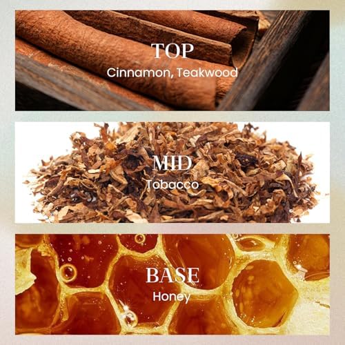 M&SENSE 10.14 oz Large Reed Diffuser Set | Tobacco Teakwood Scent Oil Diffuser with Sticks | Hotel Collection Non-Toxic Essential Oil |for Bedroom Bathroom Living Room