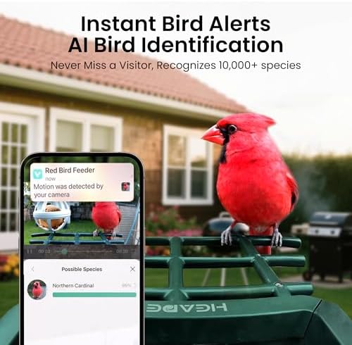 Bird Feeder with Camera Solar Powered 2K HD Video, 10,000+ Species AI Recognition, Real-Time Alerts, and Weatherproof Design for Effortless Birdwatching, Gift for Bird Lovers, Grass Green