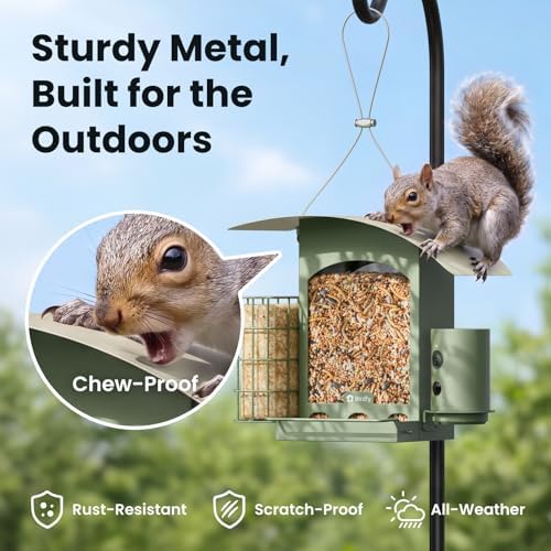 Birdfy Smart Bird Feeder with Camera, Solar Powered Hanging Bird Feeder