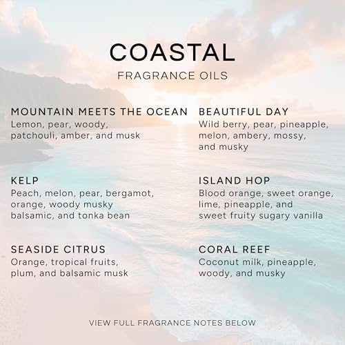 Eternal Essence Oils Coastal Set of 6 Premium Fragrance Oils - Includes Mountain Meets Ocean, Seaside Citrus, Island Hop, Kelp, Beautiful Day, and Coral Reef Scented Oils - 10ML