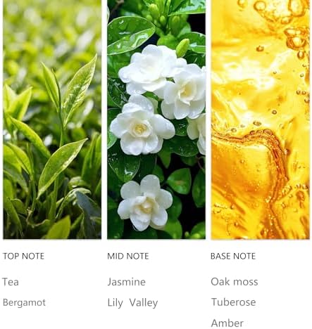 Waterless Essential Oil 20ml Black Tea Scent