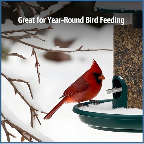 Pennington Wild Bird Food, Wild Bird Seed for Outside Feeders, 22.5-lb.