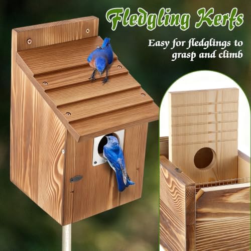 Dreyoo 4 Pack Bluebird Houses for Outside with Metal Predator Guard, 1-1/2" Entrance Hole Wooden Blue Bird Houses for Outdoors, Bluebird Nesting Box(Burnt Wood)