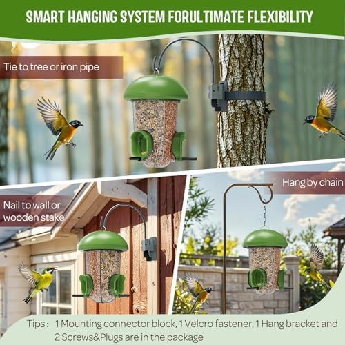 LONA Bird Feeder with 3 Compartments, Dome Bird Feeder for Outdoors, Plus