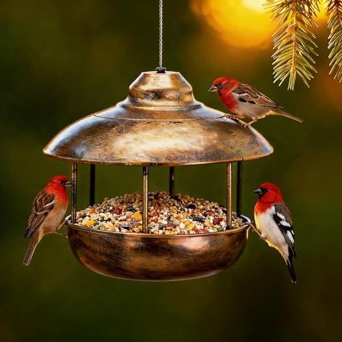 Durable Bird Feeder for Outdoors Hanging,All Metal Bird Feeder for Outside