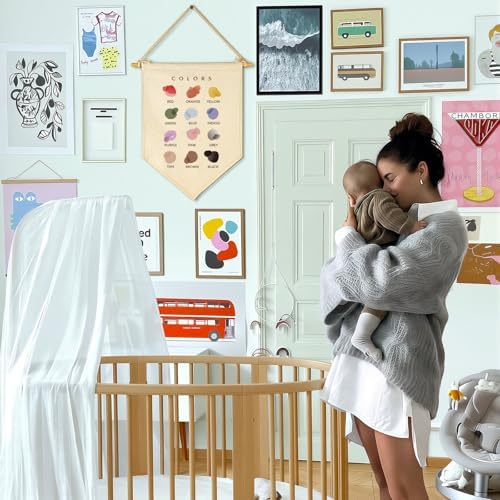 Color Learning-Flag Wall Decor Gift for Baby Boys Girls Kids-Canvas Hanging Pennant Banner Wall Decor Gift for Classroom Nursery Baby Room Playroom Homeschool Reading Room Bedroom