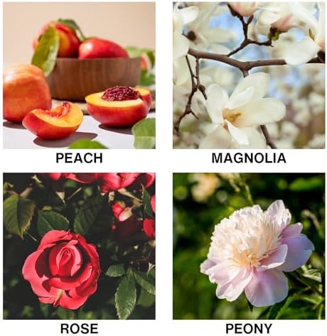 Flora D'Amour Scent Reed Diffuser Oil for Home – Long Lasting Diffusers for Home with Rose, Peony, Magnolia & Peach – Premium Aroma Fragrance for Room, Bedroom & Bathroom – 150ml
