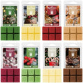 Salubrito Christmas Scented Wax Melts, Strong Scented Soy Wax Cubes/Tarts Variety Set - Apple Cinnamon, Gingerbread, Christmas Tree, Pudding, Sugared Cranberry, Candy Cane, Mistletoe, Chocolate Cake