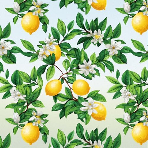 SOMWISE Frosted Window Privacy Film, Decorative Sun Heat Blocking, Anti UV