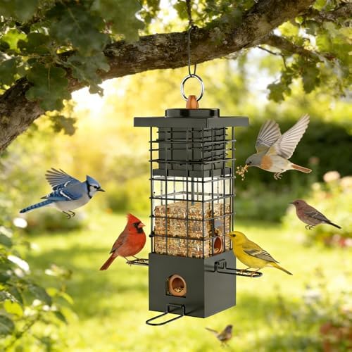 Metal Squirrel Proof Bird Feeder,2.5LB Capacity,Easy Refill & Clean