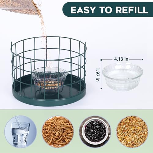 Gbekery Bluebird Feeder for Mealworms with Glass Bowl for Outdoors, Green