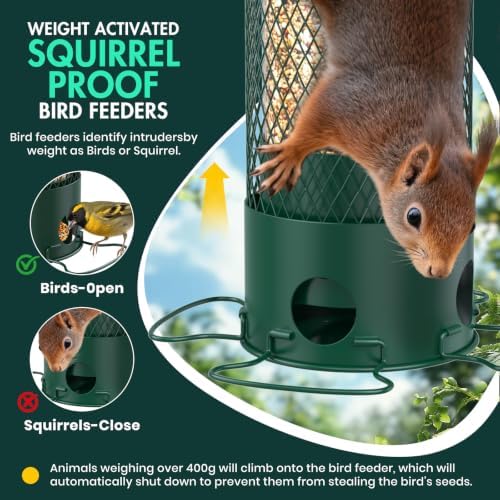 Metal Squirrel Proof Bird Feeder for Outdoors Hanging,Weight Activated,3 LB