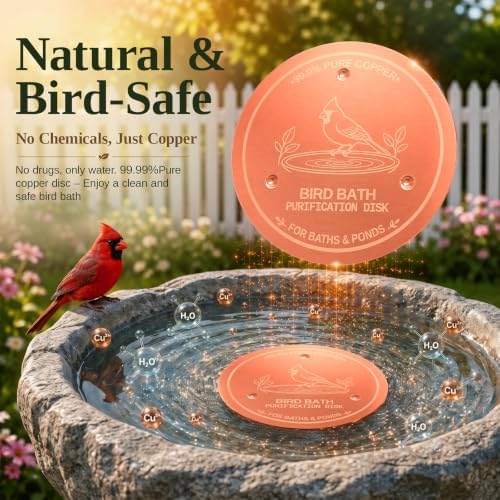 2-Pack Copper Disc for Bird Bath, 99.9% Pure Copper (Cardinal)