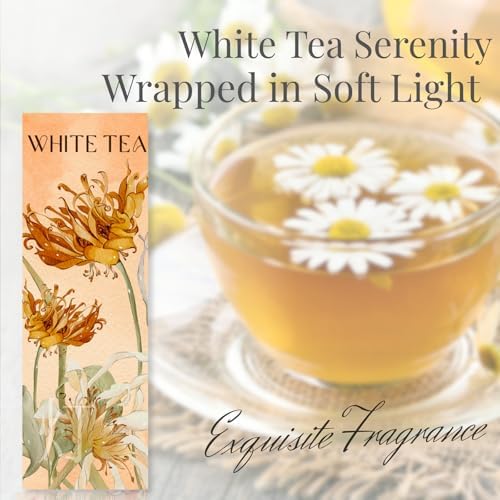White Tea Luxury Japanese Incense Sticks 60sticks Jasmine Musk Grapefruit Coreless Low Smoke Natural Charcoal Free Non Toxic Aromatherapy Meditation Calming Stress Relief Relaxation Yoga TOMORI