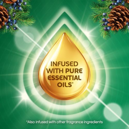 Air Wick Plug in Refills, Fresh Pine & Juniper, Scented Oil, 4ct