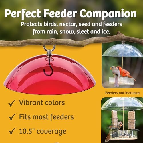 Birds Choice Bird Feeder Dome with Hanger | 10.5in Rain Guard Cover, Red
