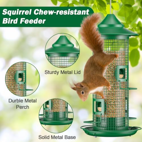Metal Bird Feeder for Outdoors Hanging, Dark Green
