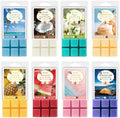 SALKING Summer Scented Wax Melts, Soy Wax Cubes/Tarts for Wax Melt Warmer