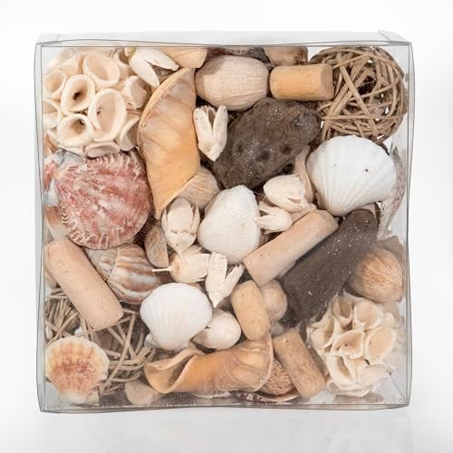 ANDALUCA Maison Box Fragrance Potpourri Decorative Vase & Bowl Filler Home Décor (Coastal Seashells)