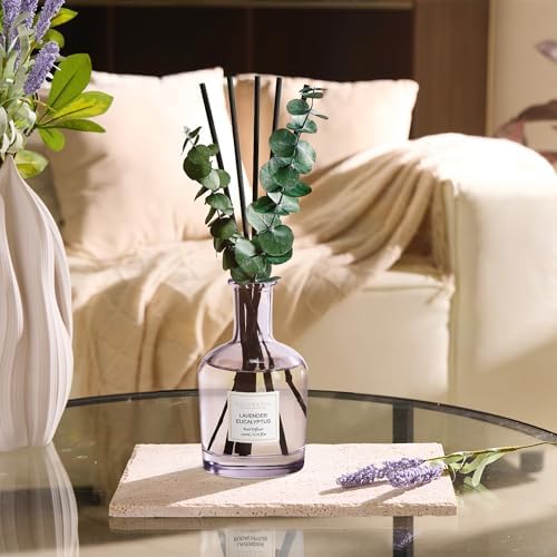 COCORRÍNA Lavender Eucalyptus Reed Diffuser, 6.76 oz