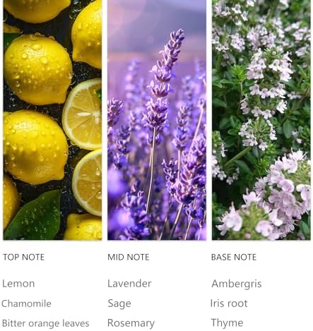 Waterless Diffuser Oil Rosemary 20ML Sampler