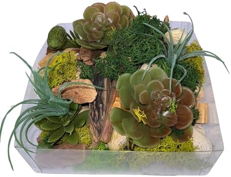 ANDALUCA Maison Box Fragrance Potpourri Decorative Succulent Moss Vase & Bowl Filler Home Décor (Moss Forest)