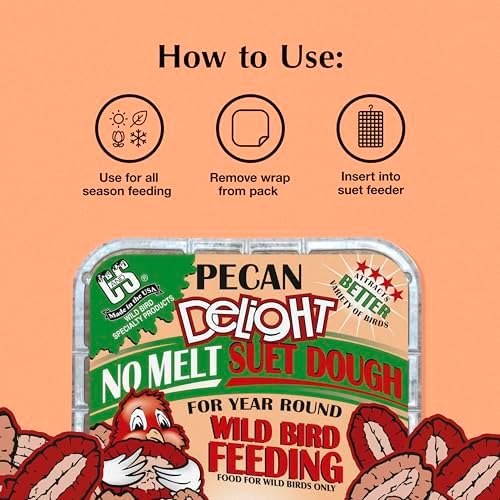 C&S Pecan Delight No Melt Suet Dough, Suet Cakes for Wild Birds