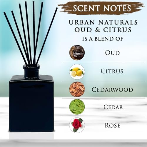 Urban Naturals Reed Diffuser Set, Oud & Citrus - Bathroom Shelf Décor