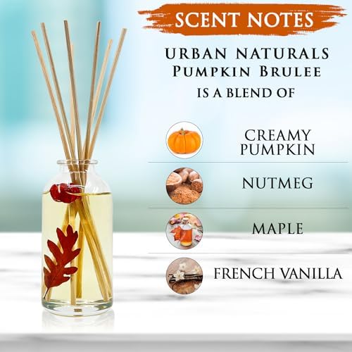 Urban Naturals Reed Diffuser Set, Pumpkin Brulee - Bathroom Shelf Décor