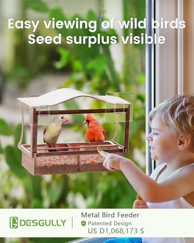Window Bird Feeder with Strong Suction Cups, Metal Outdoor Gift - Curved