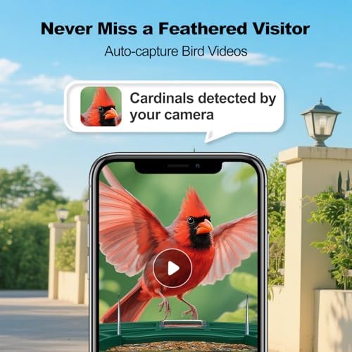 Fazoxo Bird Feeder with Camera,Birds House Camera,Solar Powered,AI Bird ID