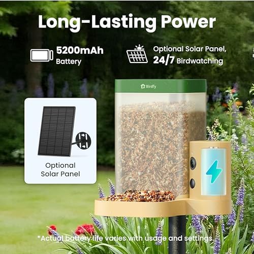 Birdfy Smart Bird Feeder with Camera for Beginners, Solar Powered, Free AI