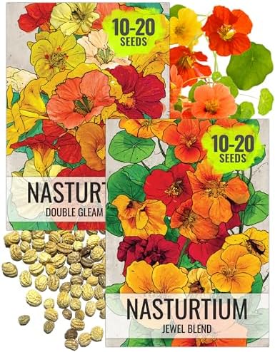 Seed Needs Nasturtium Garden Seeds Variety Pack of 2 Edible Wildflowers